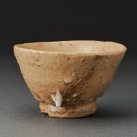 ͤݡ¼ϯIdo Sake CupShiro Tsujimura