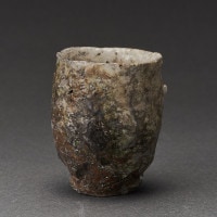 ˲줰ݡëܵIga Sake CupTakashi Tanimoto