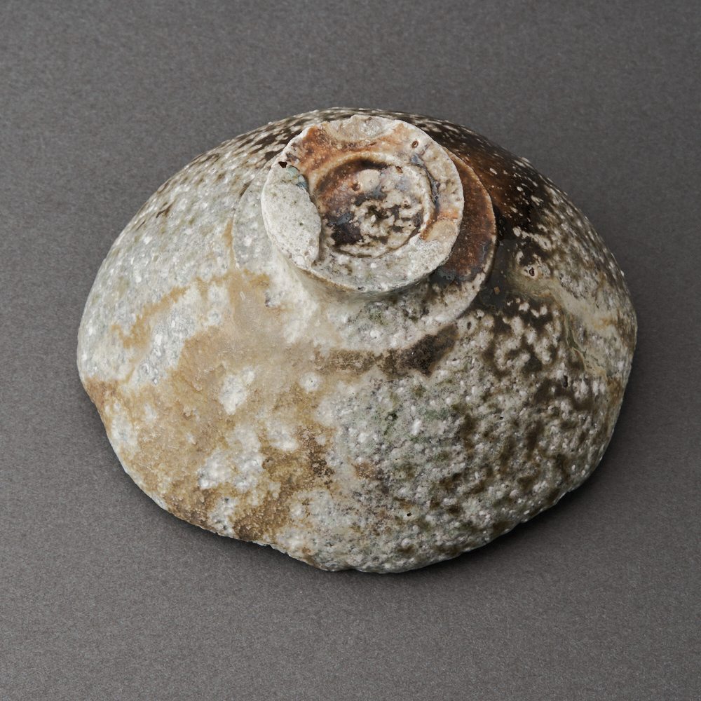 ɰ֡ʸ͵ΡShigaraki Sake CupHiroshi Goseki