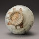 ʴĽɧ Karatsu Sake BottleMaruta Munehiko