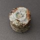 ڤݡ߷ŵShigaraki Sake CupKatsunori Sawa