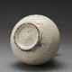 ʴ¼ϺKohiki Sake BottleShintaro Uchimura