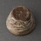 �����ܼ��֡ʾ����ڻ��ס�Hakeme Sake Cup��Fujio Koyama��