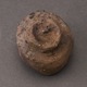 ð֡ʻɧTanba Sake CupMasahiko Ichino