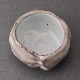 ӤݡʷľHagi Sake CupMasanao Kaneta