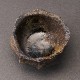 ðӼݡʺɧBlack Tanba Sake CupMasahiko Imanishi
