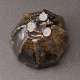 ðӼݡʺɧBlack Tanba Sake CupMasahiko Imanishi