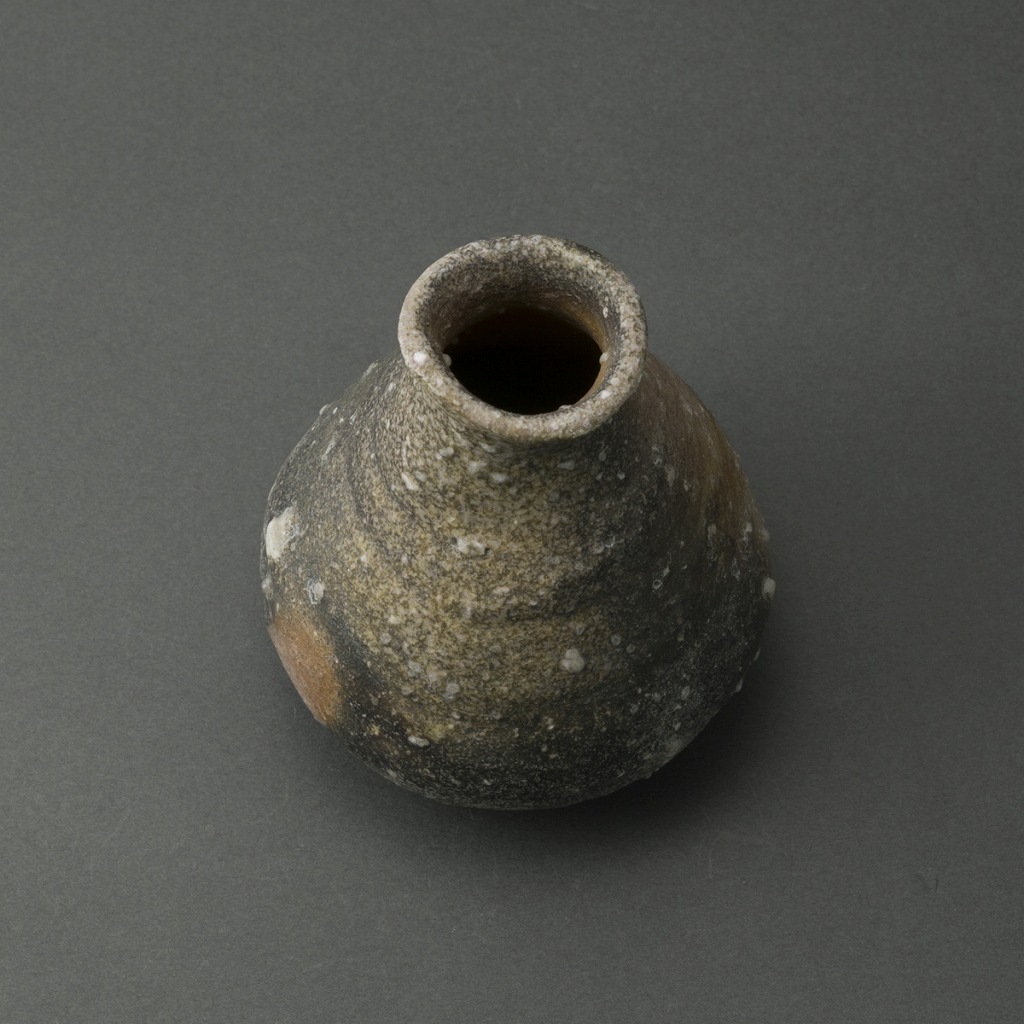 ���ڤȤ����ë�֡�Shigaraki Sake Bottle��Q Tani��