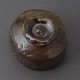 ���������ݡʾ��о��ʡ�Bizen Sake Cup ��Naoe Koide��