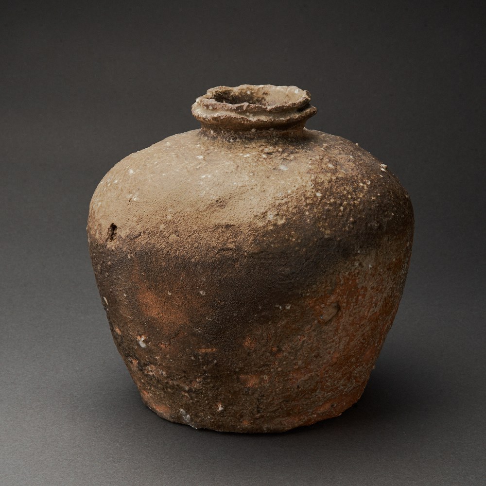 ë֡Shigaraki UzukumaruQ Tani