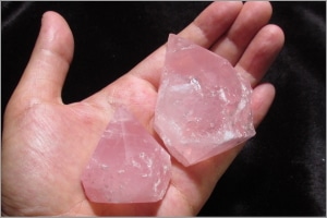 �������������ĥݥ����(���徽 �� ����֥�)