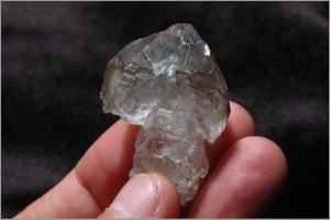 �����徽(���ץ����� ��������) �Σ�,����