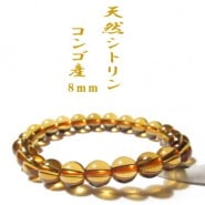 ���󥴻� ŷ�����ȥ�� ��������֥쥹��å� ��ŷ��̵�忧��