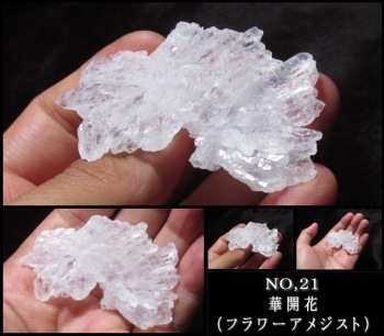 �ڳ��� (�ե����᥸����) NO,����