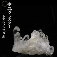 no16 �ȥޥ����󥵥��� �徽���饹���� ���ʼ�