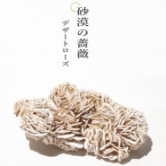 �ǥ����ȥ���������������