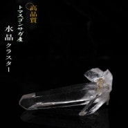 no21  �ȥޥ����󥵥��� �徽���饹���� ���ʼ�