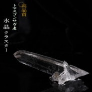 no22  �ȥޥ����󥵥��� �徽���饹���� ���ʼ�