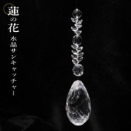 ŷ���徽���󥭥�å��㡼��ϡ�β� �饰���奢�꡼  �̥���å�ͭ���