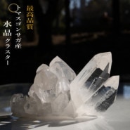 no33  �ȥޥ����󥵥��� �徽���饹���� ���ʼ�