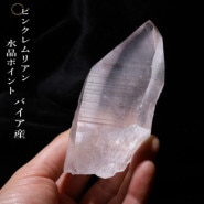 �ԥ󥯥��ꥢ�󥷡��ɿ徽�ݥ���ȡ��Х����� (Bahia) no2