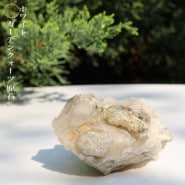 �ۥ磻�ȥ����ǥ󥯥����ĸ��� No��