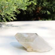 �ۥ磻�ȥ����ǥ󥯥����ĸ��� No��