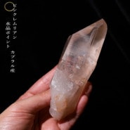 no�� �ԥ󥯥��ꥢ�󥷡��ɿ徽�ݥ���ȡ����֥�뻺