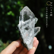 �ޥ˥ϡ��뻺 �ҥޥ��徽���饹���� No��