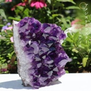 �ڵ�ˤ����� ���᥸���ȥ��饹�����ǹ����