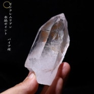 �ԥ󥯥��ꥢ�󥷡��ɿ徽�ݥ���ȡ��Х����� (Bahia) no��