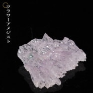 �ե����᥸���� No22