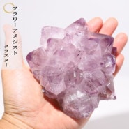 �ե����᥸���ȥ��饹���� No��