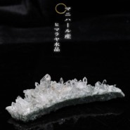 �ޥ˥ϡ��뻺 �ҥޥ��徽 No��