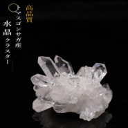 no40  �ȥޥ����󥵥��� �徽���饹���� ���ʼ�