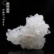 ���ݥե��饤�ȷ뾽���� �ǹ����