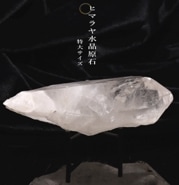 ҥޥ徽 ʥ륰졼 դ祵 No1