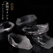 �ȥޥ����󥵥��� �徽�ݥ���� �ǹ��ʼ�