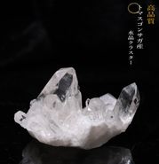 No52  �ȥޥ����󥵥��� �徽���饹���� ���ʼ�