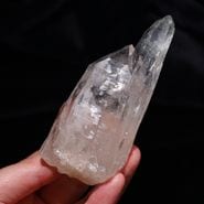 �ޥ˥ϡ��뻺 �ҥޥ��徽 No5