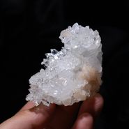 ���ݥե��饤�ȷ뾽���� �ǹ��ʼ�