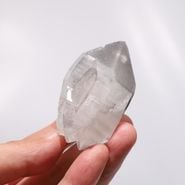 No4 ֥åꥢ󥷡ɿ徽ݥȡХ