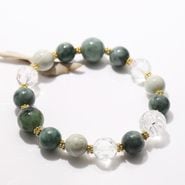 ǿζ֥쥹åȡSpecial Edition()