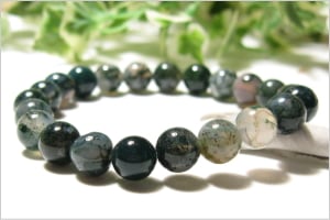 �⥹�������� ��������֥쥹��å� ������