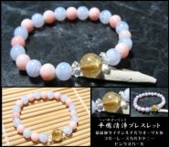 ʿ�������֥쥹��å�