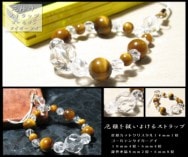 �����㱤��褱�륹�ȥ�åס�������ǥ󥿥���������