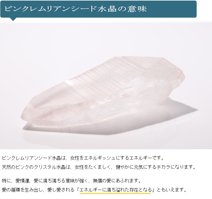 �ԥ󥯥��ꥢ�󥷡��ɿ徽�ݥ���ȡ��Х����� (Bahia) no2