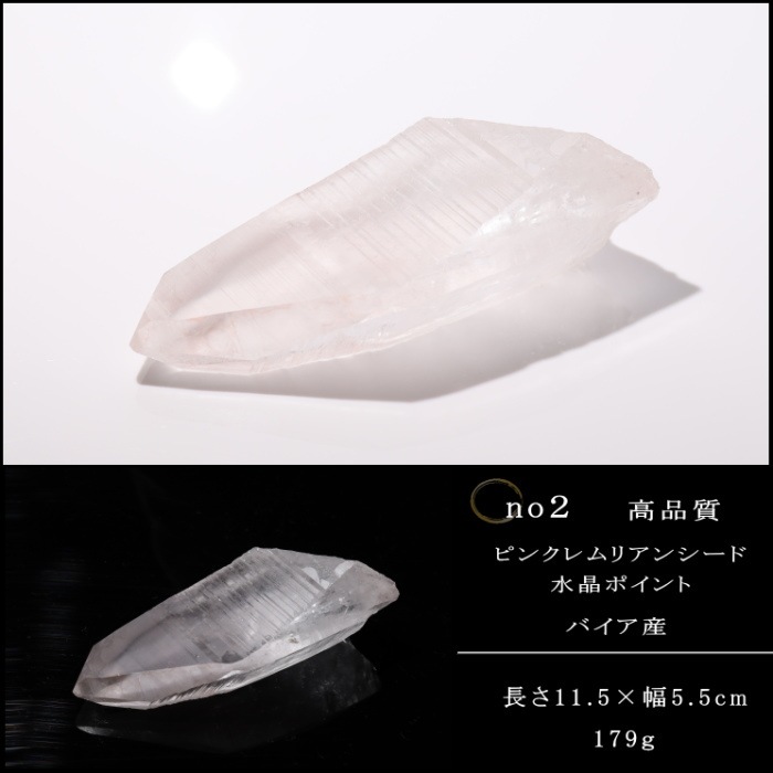 �ԥ󥯥��ꥢ�󥷡��ɿ徽�ݥ���ȡ��Х����� (Bahia) no2