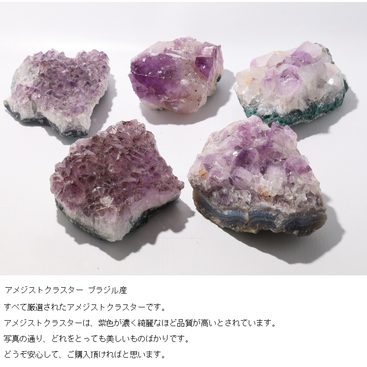 �ѥ���ݥåȥᥤ���� �������å� ��������