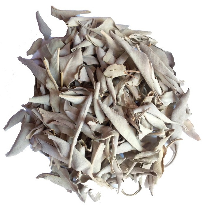 ۥ磻ȥڥѥȡξۡ